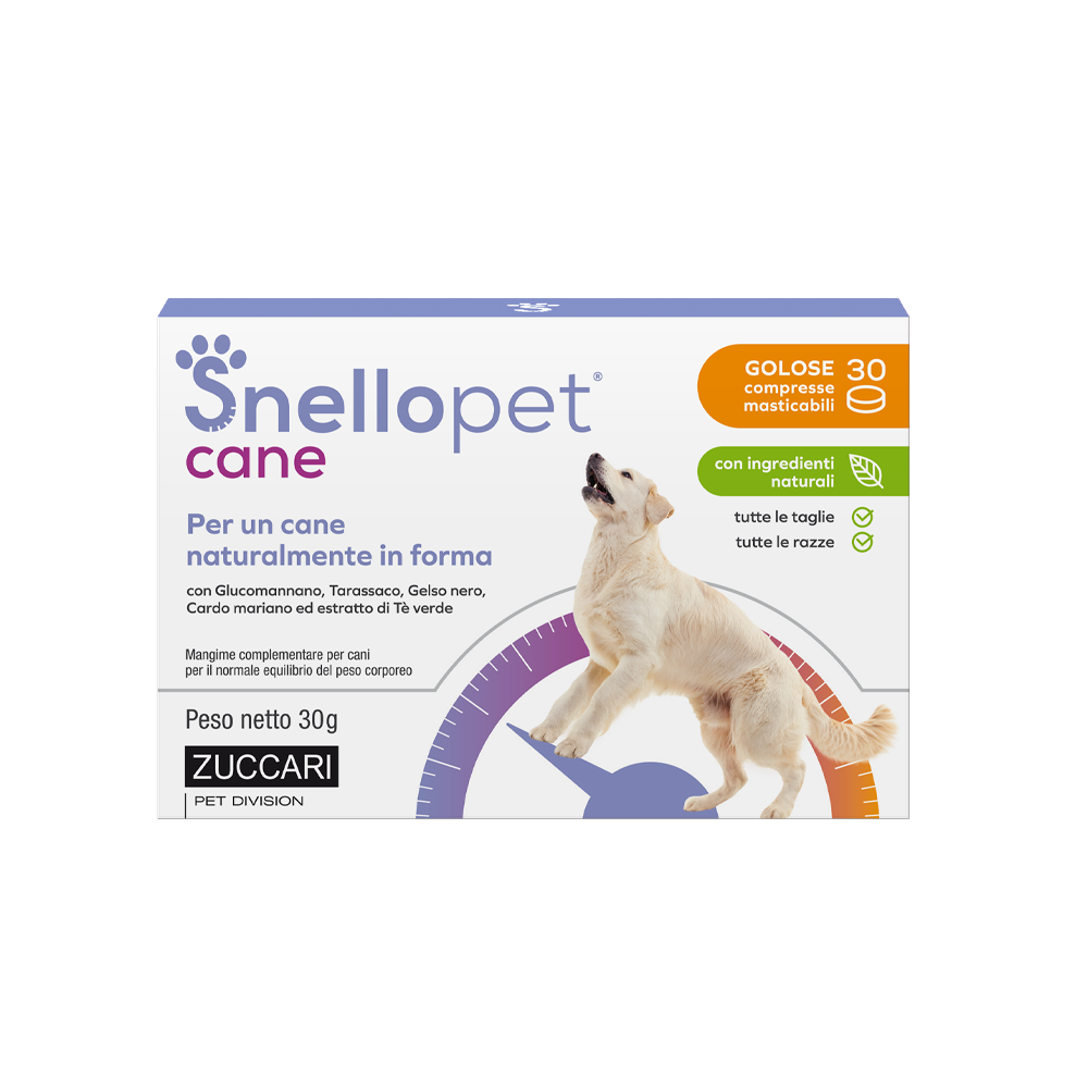 Snellopet Cane