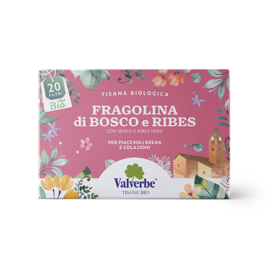 Tisana Fragolina di Bosco e Ribes